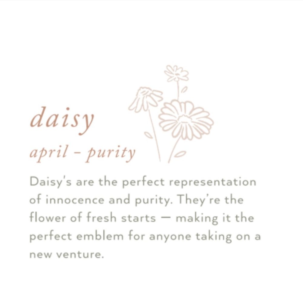 April Daisy Birth Month Flower Simple Necklace - Picture 8 of 13